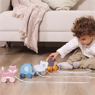 Pull along - hedgehog